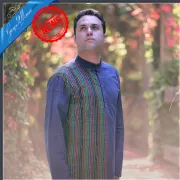 صدای وحید تاج در سریال ماه و پلنگ پخش شد